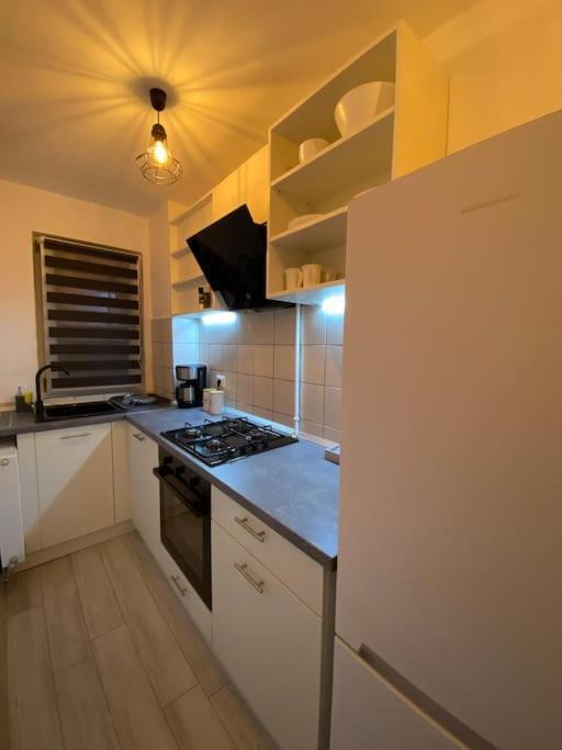 Black& White Apartment Braşov Eksteriør bilde